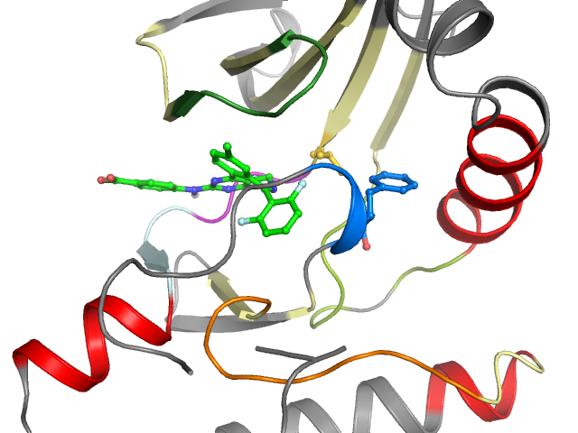The orthosteric binding pocket
