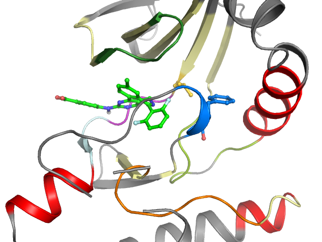 The orthosteric binding pocket