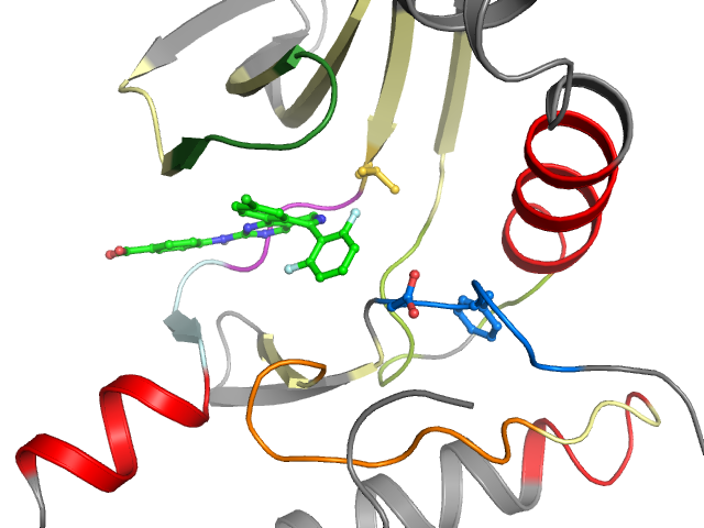The orthosteric binding pocket