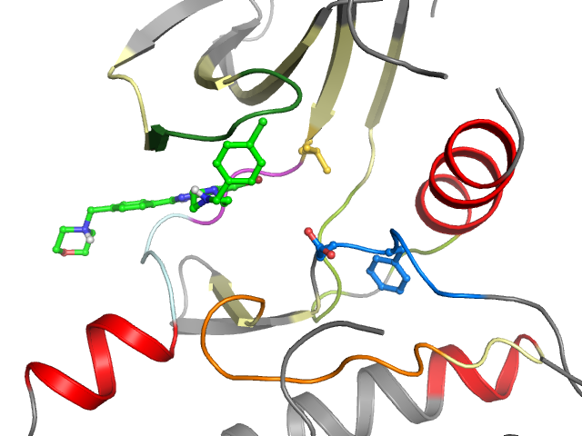 The orthosteric binding pocket