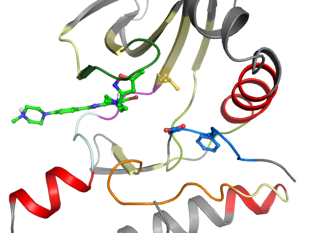 The orthosteric binding pocket
