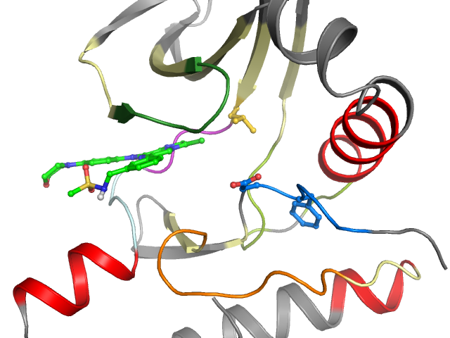 The orthosteric binding pocket
