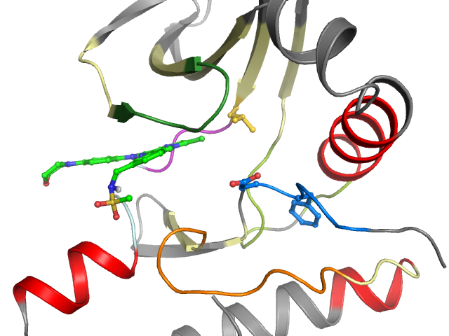 The orthosteric binding pocket