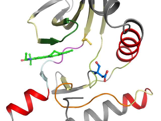 The orthosteric binding pocket