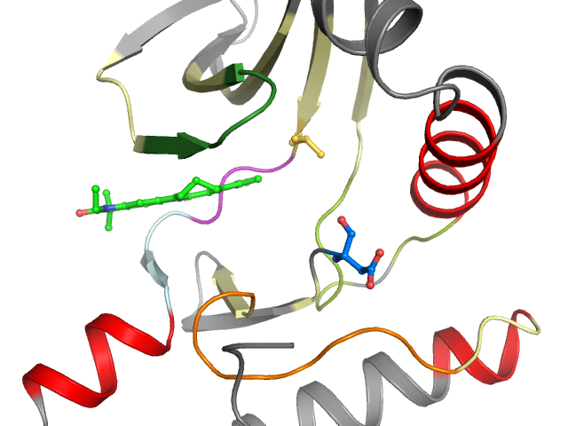 The orthosteric binding pocket