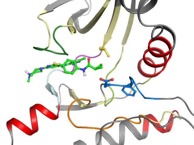 The orthosteric binding pocket
