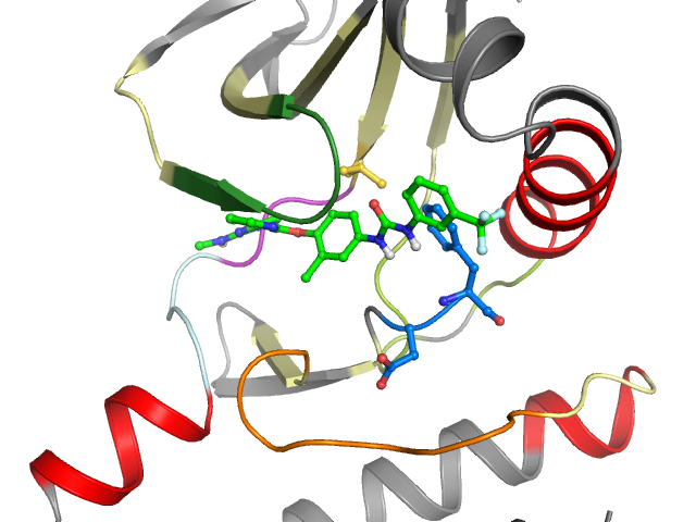 The orthosteric binding pocket