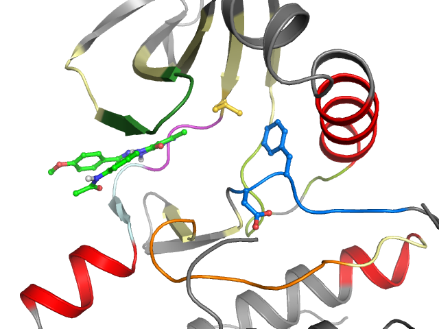 The orthosteric binding pocket