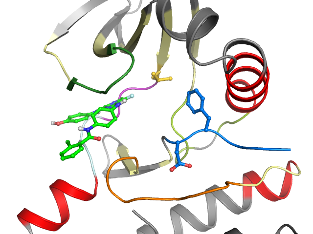 The orthosteric binding pocket