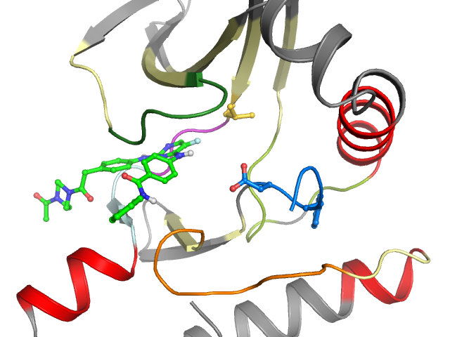 The orthosteric binding pocket