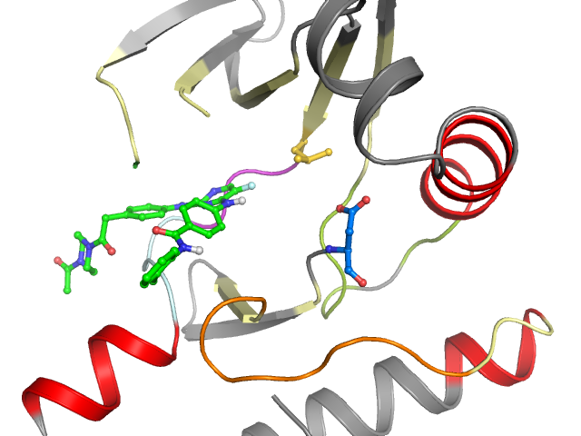 The orthosteric binding pocket