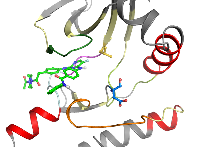 The orthosteric binding pocket