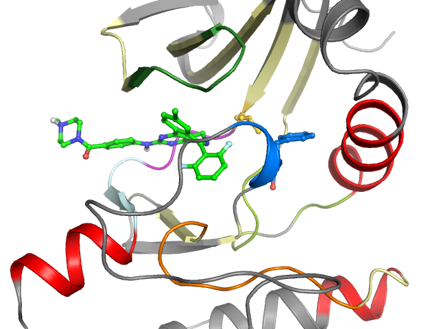 The orthosteric binding pocket