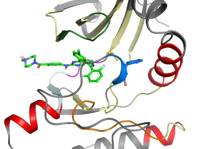 The orthosteric binding pocket