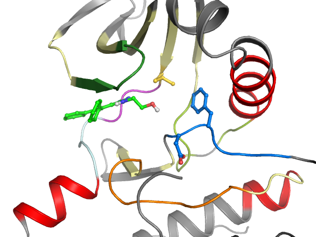 The orthosteric binding pocket