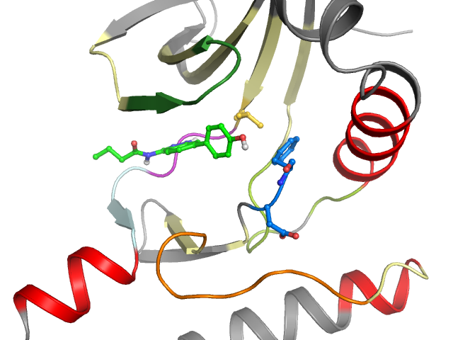 The orthosteric binding pocket