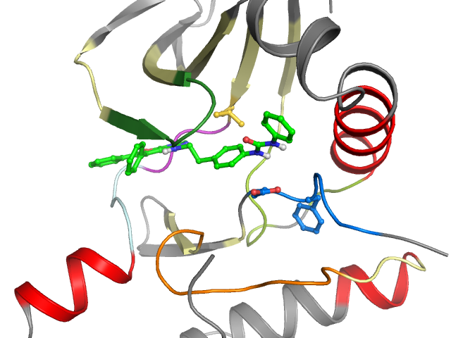 The orthosteric binding pocket