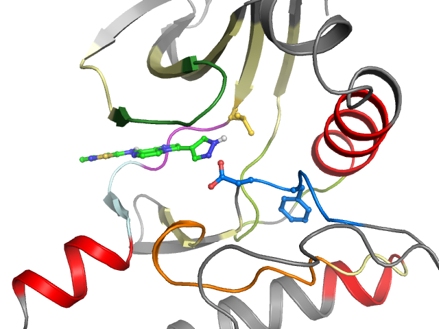 The orthosteric binding pocket