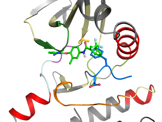 The orthosteric binding pocket