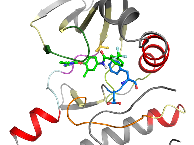 The orthosteric binding pocket