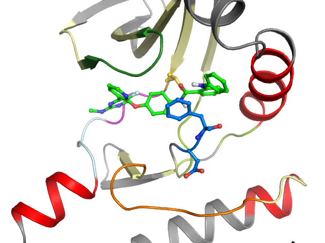 The orthosteric binding pocket