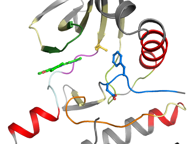 The orthosteric binding pocket