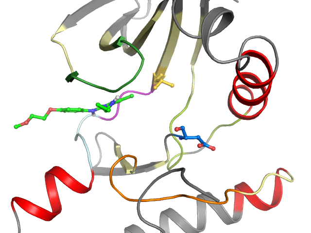 The orthosteric binding pocket