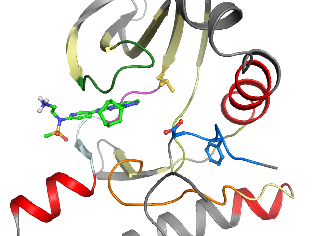 The orthosteric binding pocket
