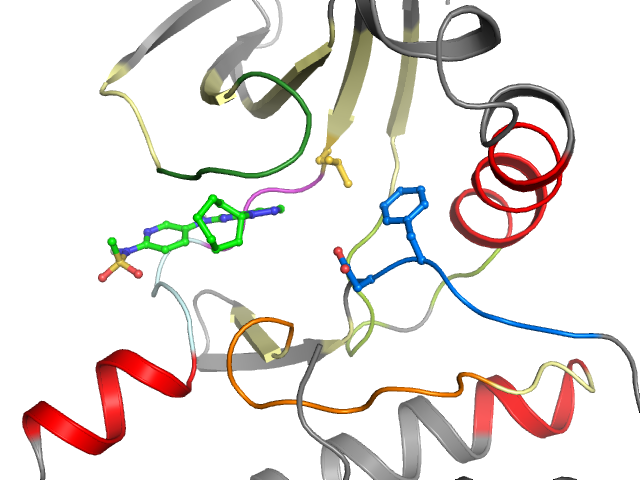 The orthosteric binding pocket
