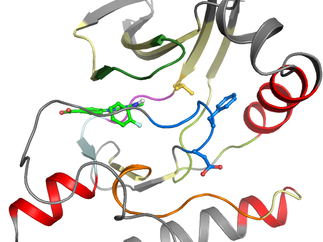 The orthosteric binding pocket