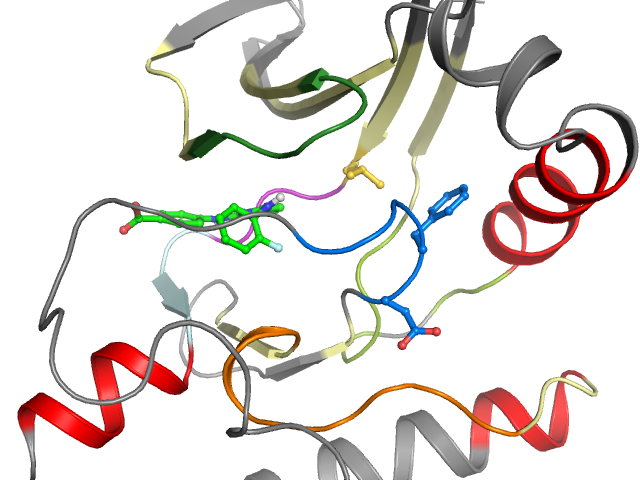 The orthosteric binding pocket