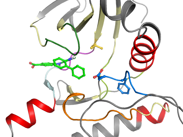 The orthosteric binding pocket