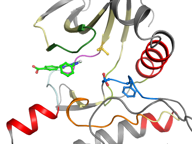 The orthosteric binding pocket