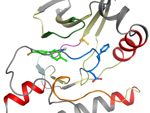 The orthosteric binding pocket