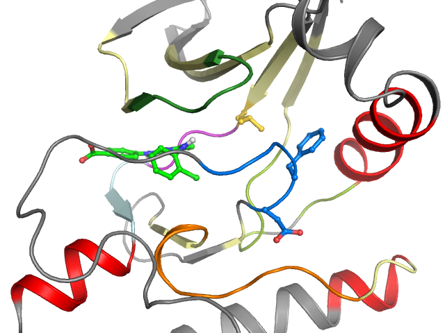 The orthosteric binding pocket