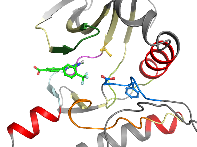 The orthosteric binding pocket