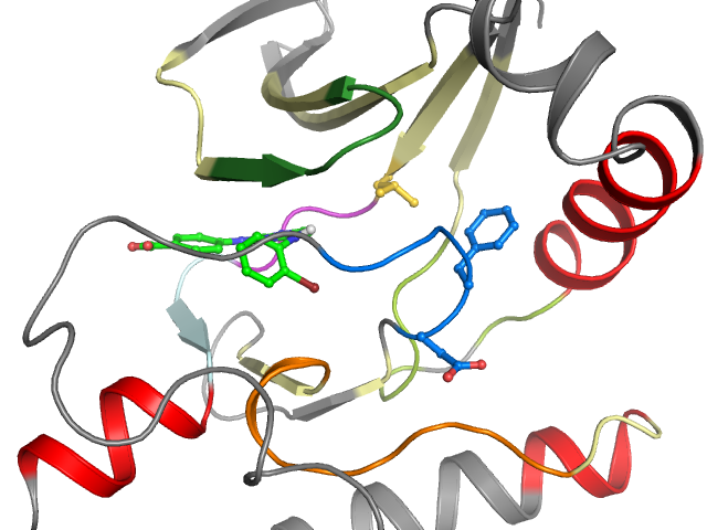 The orthosteric binding pocket