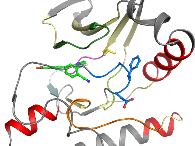 The orthosteric binding pocket