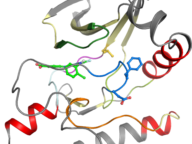 The orthosteric binding pocket