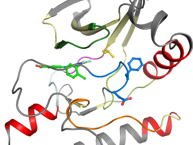 The orthosteric binding pocket