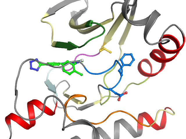 The orthosteric binding pocket