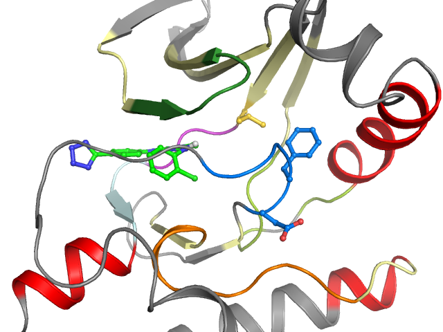 The orthosteric binding pocket