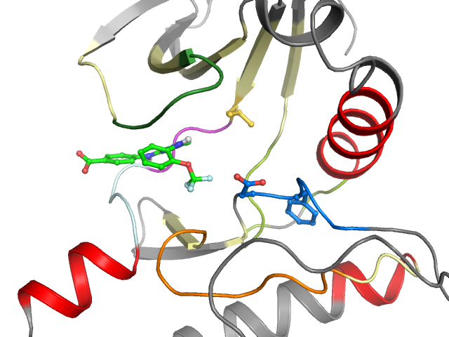 The orthosteric binding pocket