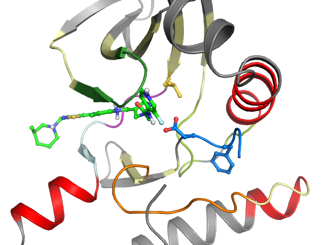 The orthosteric binding pocket