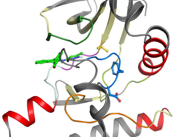 The orthosteric binding pocket