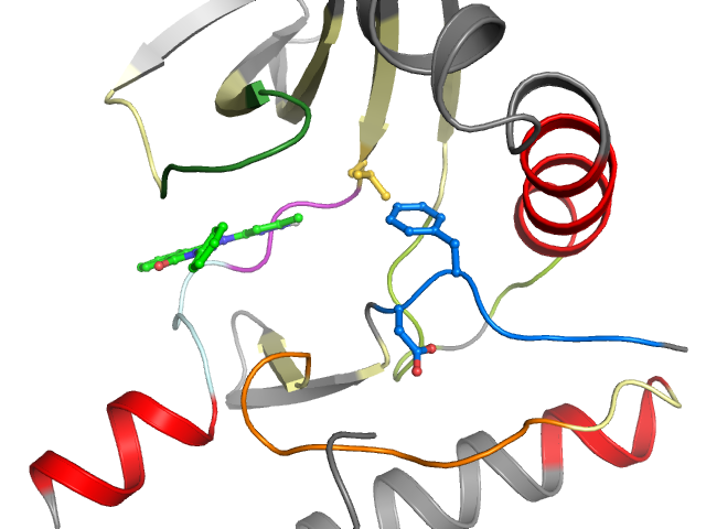The orthosteric binding pocket