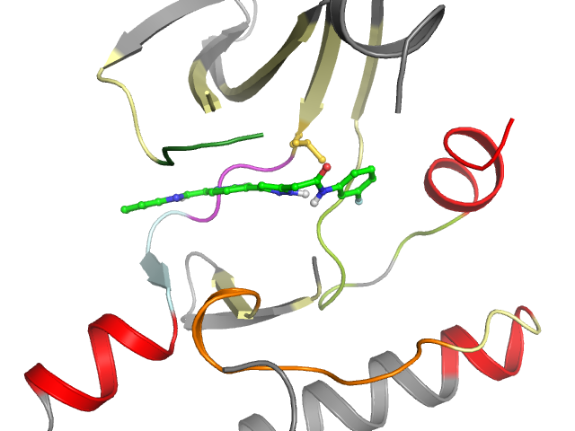 The orthosteric binding pocket