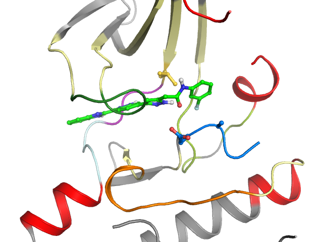 The orthosteric binding pocket