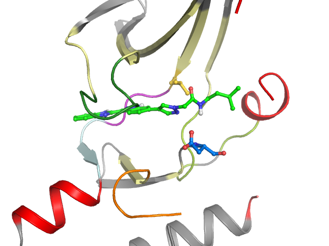 The orthosteric binding pocket