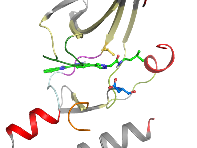 The orthosteric binding pocket